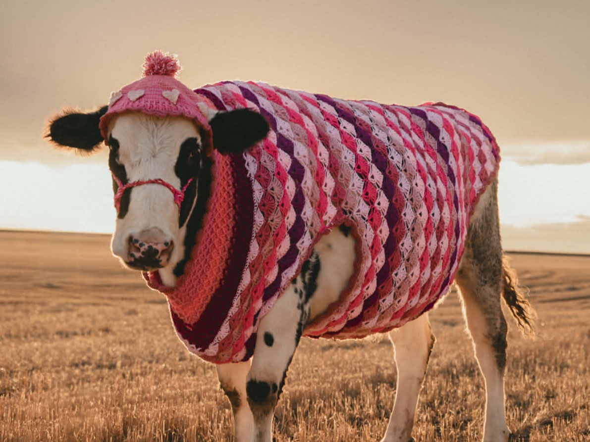 TIGHTBOOTH COW FOOTPRINT JKT新品XLサイズ Local farmer, crocheter Jasmine Entz crafts sweaters for cow